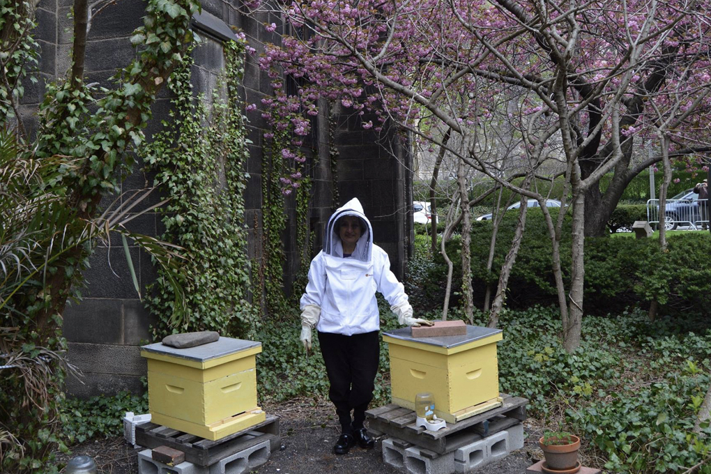 The Bee Conservancy's Apiary at the Cathedral of St. John the Divine in New York City