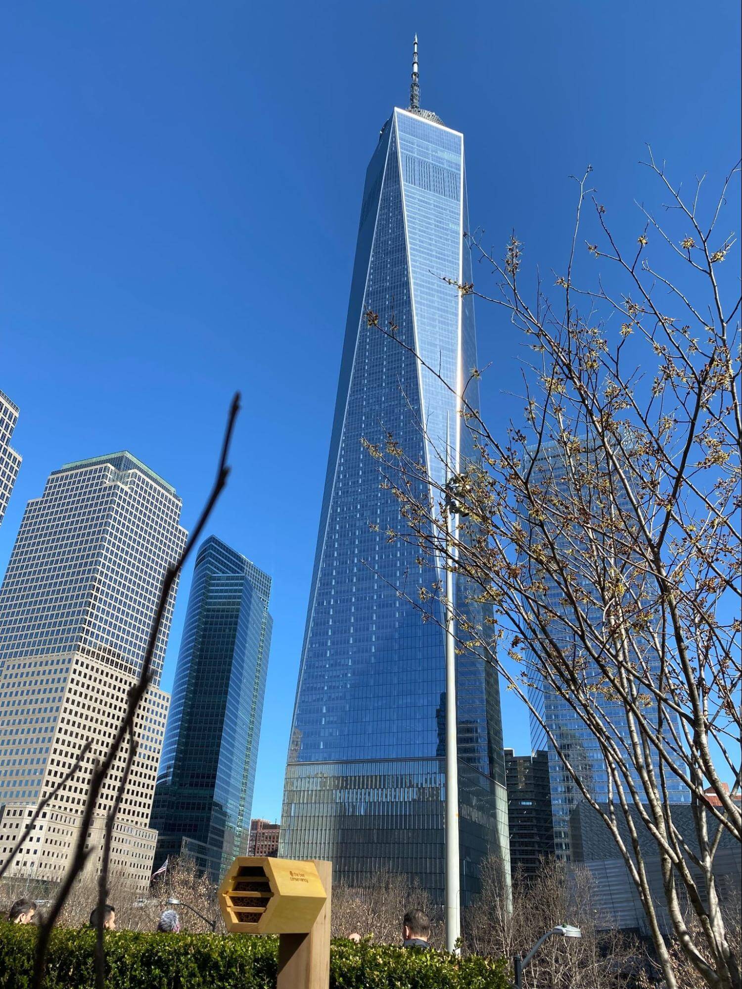 One World Trade Center with custom Beehive in front
