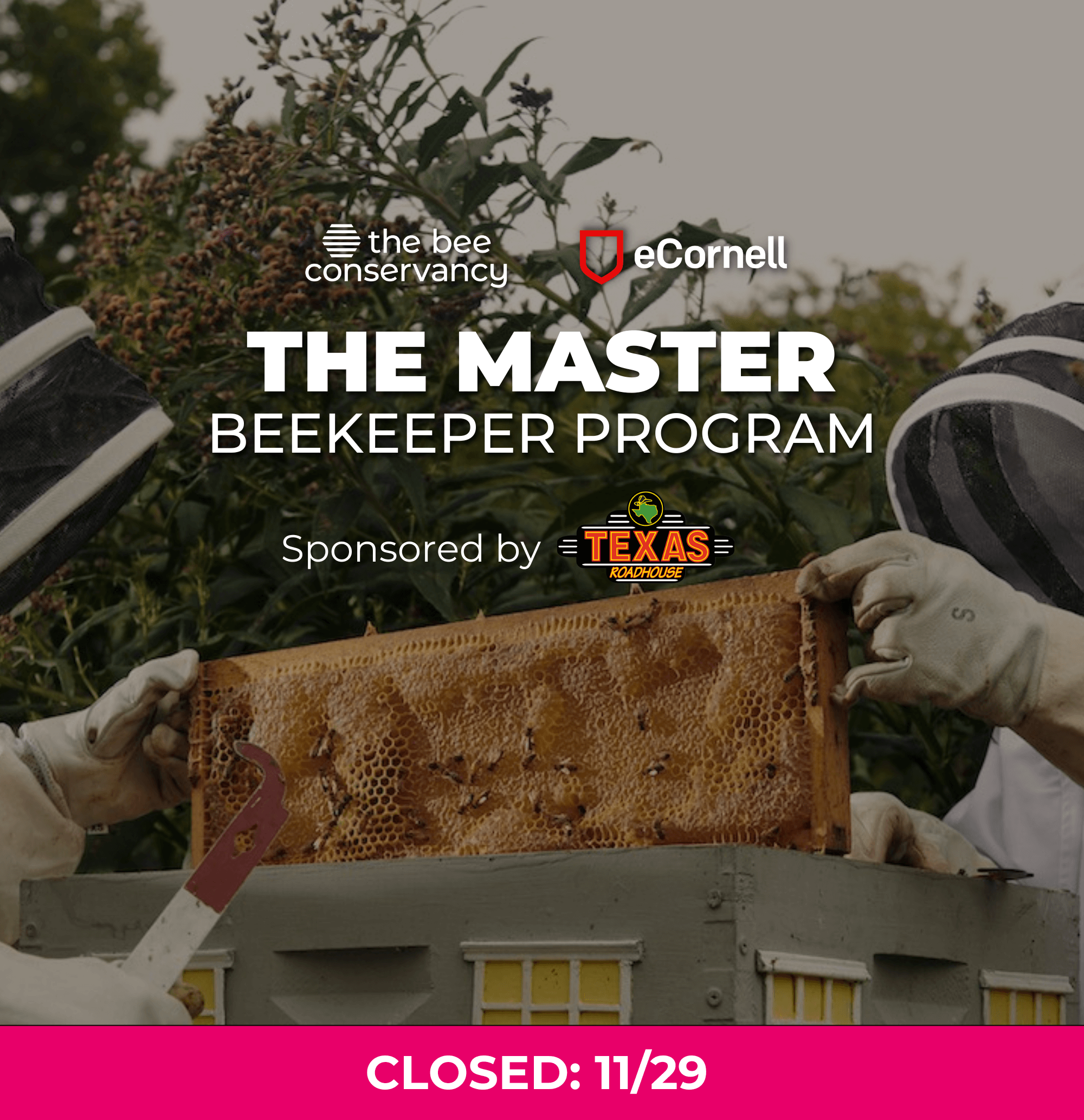 The Bee Conservancy scholarship to Cornell University's Master Beekeeper Certification Program 