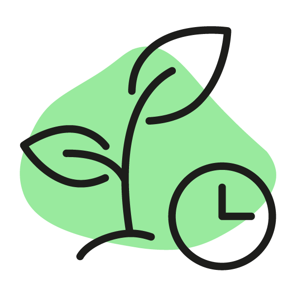 Clock and plant symbolizing monitoring and assessment in garden maintenance.