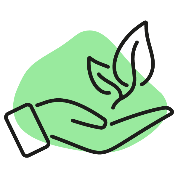 Hand holding a plant, symbolizing interplanting in gardens.